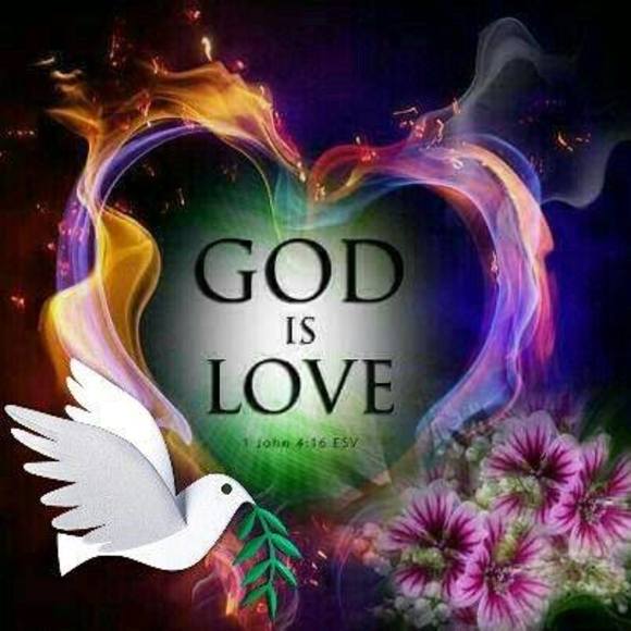 Meet your Posher, Flossie - Picture 1 of 1